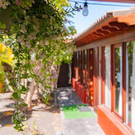 El Rincon Del Huroncillo Tejina المظهر الخارجي الصورة